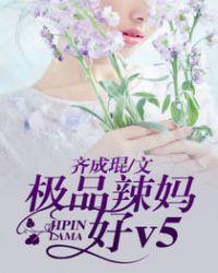 极品辣妈好v5e