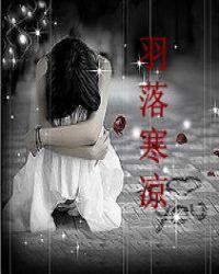 羽落是哪个电视剧的主题曲