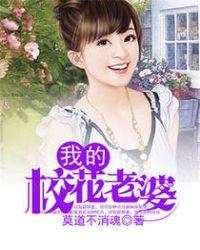 我的校花老婆徐郎全集
