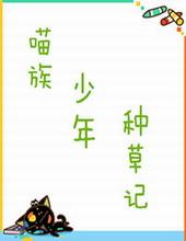 精灵猫咪世界