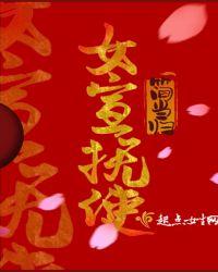 宣抚使司