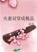 夫妻双方穿成极品