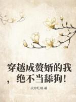 穿越成赘婿的电视剧