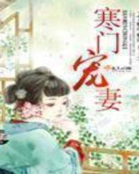 寒门宠妻二讲