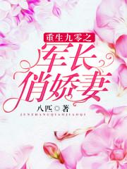 重生九零之军长俏娇妻 八匹