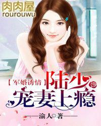 军婚诱情陆少宠妻上瘾