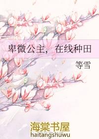 卑微的公主
