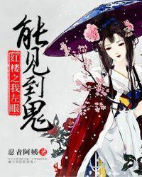 红楼之我的左眼能看到鬼