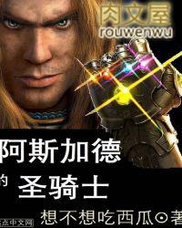 阿斯加德的圣骑士起点