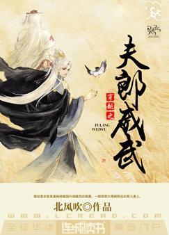 穿越之夫郎威武番外篇