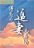 傅总的追妻火葬场晋江文学城