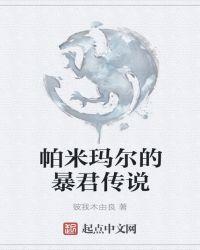 帕米尔之夜