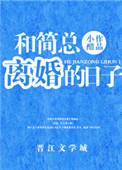 和简总离婚的日子22