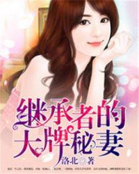 继承者大夫人