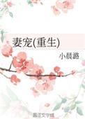 妻宠(重生)作者小晨潞TXT