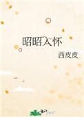 昭昭入怀讲的是什么