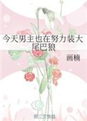 男主今天也在装大尾巴狼txt