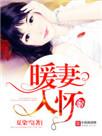 暖妻入怀时渊全文免费阅读