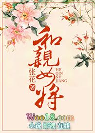 和亲公主嫁给将军电视剧
