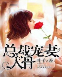 总裁宠妻入骨叶子著