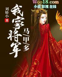 李广马甲将军