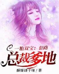 一胎双宝总裁娶妻套路多