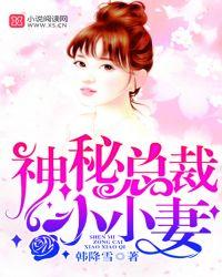 神秘总裁小小妻无删减