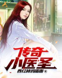传奇医圣叶枫