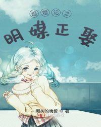 追婚记第21集