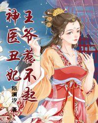 神医丑妃王爷休要追元静兮