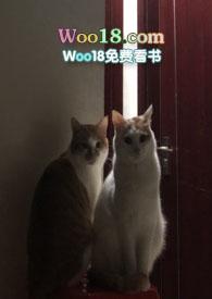 催化燃烧一体机