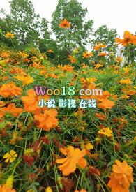乱花迷人眼照无眠
