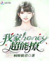 超能陆战队honey