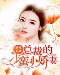 婚然天成总裁老公太放肆免费阅读全文漫画
