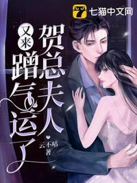贺总夫人又来蹭气运了TXT微盘