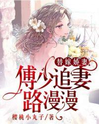傅少追妻路漫漫傅司沛