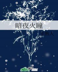 暗夜与黎明有多火