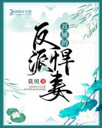 首辅的反派悍妻莫贝
