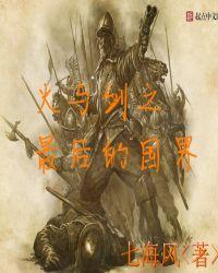 火与剑之最后的国界评价