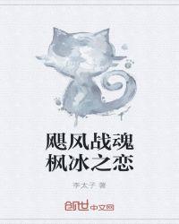 飓风战魂枫冰婚后