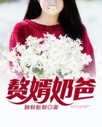 赘婿奶爸完整版