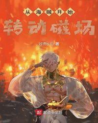 从海贼开始转动磁场332