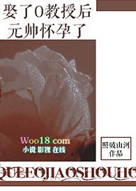 娶o教授后元帅怀孕了讲的什么