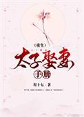 太子娶妻手册(重生) 程十七 TXT百度