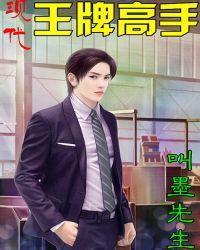 现代王牌高手txt全文