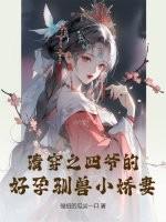 清穿之四爷宠妃四胞胎免费阅读