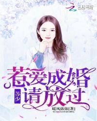 惹婚成爱女人休想带球跑苏燕