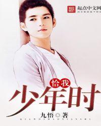 少年是什么歌