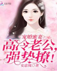 蜜宠无度高冷老公