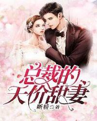 总裁的天价宠妻4